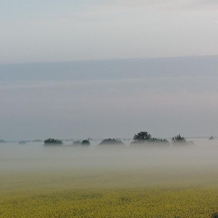 Tropikalna Odnowa Bed & Breakfast Falkowo Dış mekan fotoğraf