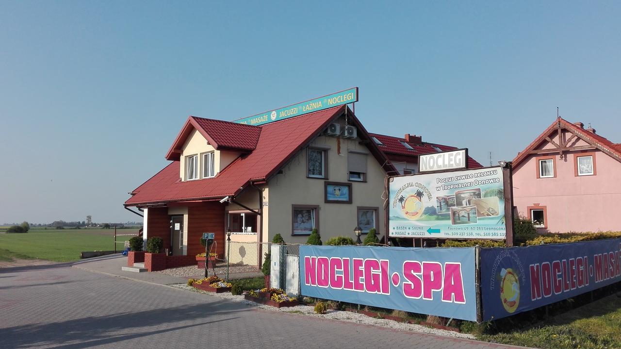 Tropikalna Odnowa Bed & Breakfast Falkowo Dış mekan fotoğraf